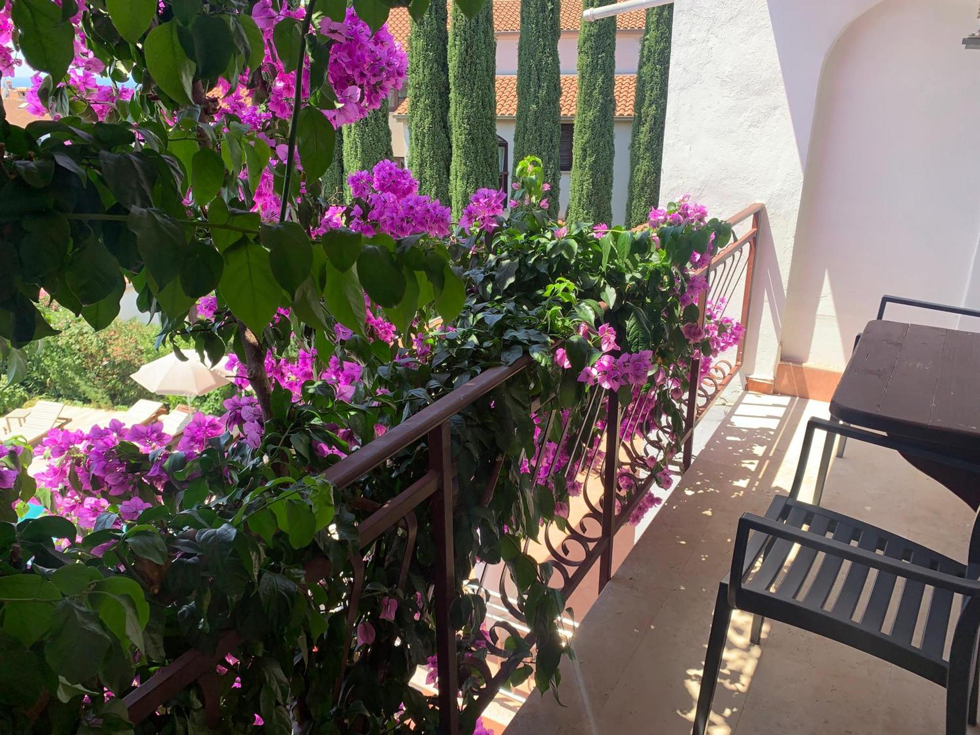 Gargamelo Pension Пореч Экстерьер фото